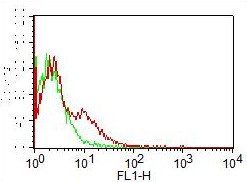 Monoclonal Antibody to hCD16 (Clone: CB16) FITC Conjugated