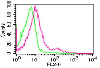 Monoclonal Antibody to Human CD16 (Clone: CB16)