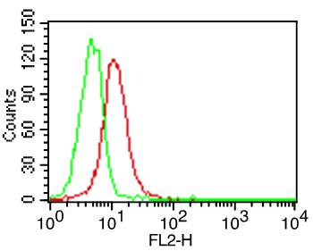 Monoclonal Antibody to Human CD70 (Clone: BU69)