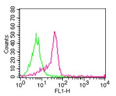 Monoclonal Antibody to Human CD11a  (Clone:  DF1524) FITC conjugated