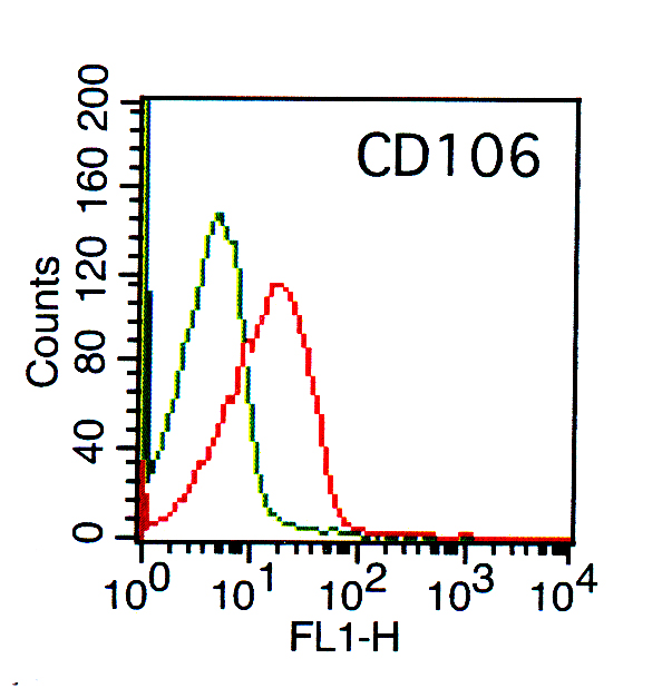 Monoclonal Antibody to Human CD106  (Clone: BK9)