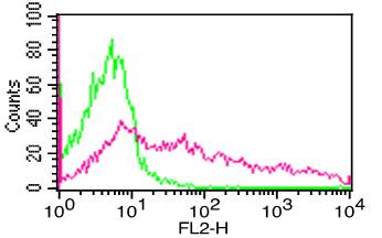 Monoclonal Antibody to Human CD195 (Clone: 12D1)