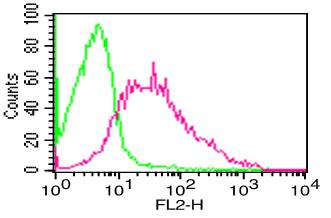 Monoclonal Antibody to Human CD38 (Clone: FS02)