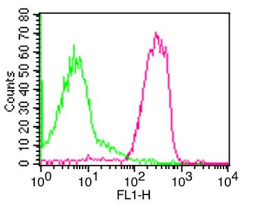 Monoclonal Antibody to Human CD50 (Clone: 101-1D2) FITC conjugated