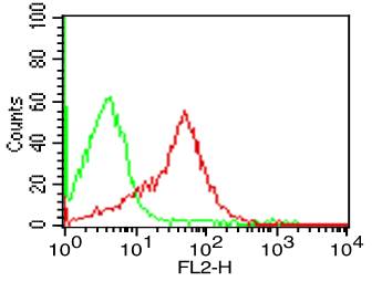 Monoclonal Antibody to Human CD50 (Clone: 101-1D2)