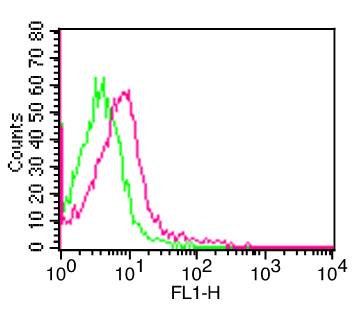 Monoclonal Antibody to Human CD50  (Clone: 186-2G9) FITC conjugated