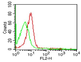 Monoclonal Antibody to Human CD50 (Clone: 186-2G9)