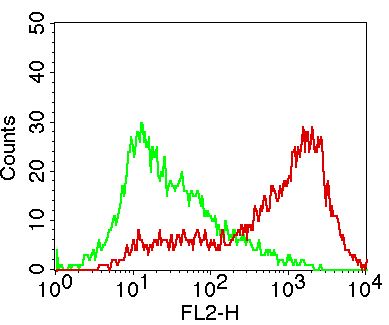 NALE™ Monoclonal Antibody to hB7-2/CD86 (Clone: BU63) (No Azide Low Endotoxin)