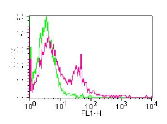 Monoclonal Antibody to CD20 (Clone: B9E9) FITC Conjugated