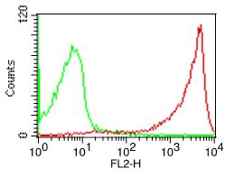 Monoclonal Antibody to Human CD45R (Clone: BRA-11G)