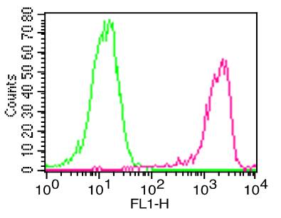 Monoclonal Antibody to Human CD11a (Clone: Cris3)