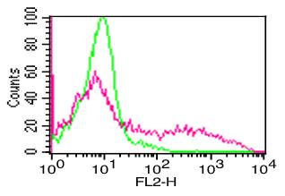 Monoclonal Antibody to h/m CD11b (Clone: M1/70)