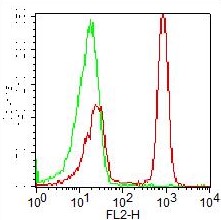 Monoclonal Antibody to Human CD4 (Clone: OKT4) PE Conjugated