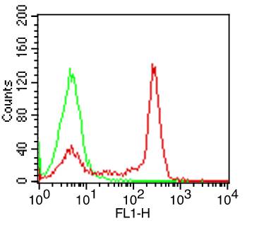 Monoclonal Antibody to Human CD4 (Clone: OKT4)