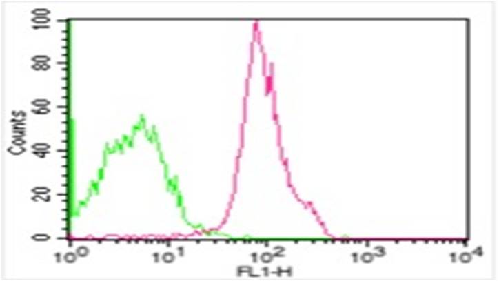 Monoclonal Antibody to Human CD47 (Clone: B6H12) FITC conjugated