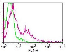 Monoclonal Antibody to CD20 (Clone: ABM46C7) FITC Conjugated