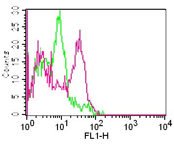 Monoclonal Antibody to Human CD98 FITC Conjugated (Clone: ABM5A27)