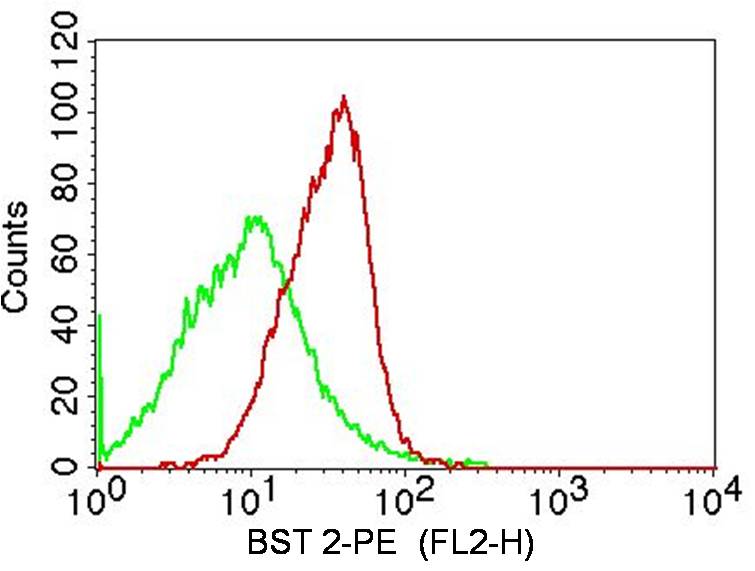 Monoclonal Antibody to BST 2 (Clone: ABM52D8)