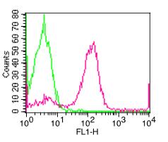 Monoclonal Antibody to Human CD23 (Clone: 152-5E5) FITC conjugated