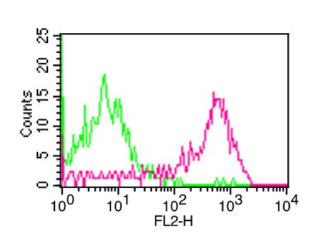 Monoclonal Antibody to CD48 (Clone:ABM4h95)