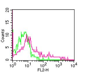 Monoclonal Antibody to HLA-DP (Clone:ABM54B6)