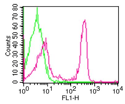 Monoclonal Antibody to hCD4 (Clone: ABM1RV7 ) FITC-Conjugated