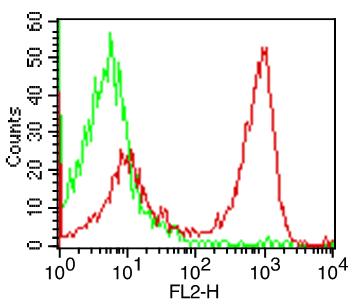 Monoclonal Antibody to Human CD3 (Clone:ABM1RV9)