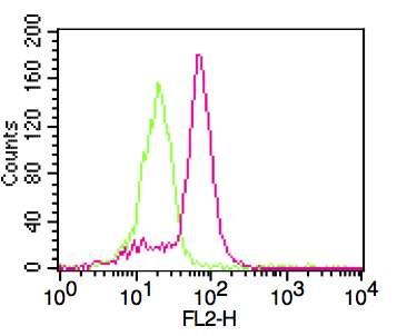 Monoclonal Antibody to CDW78 (Clone: FN4)