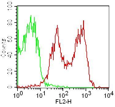 Monoclonal Antibody to CD69 (Clone: FN61 )