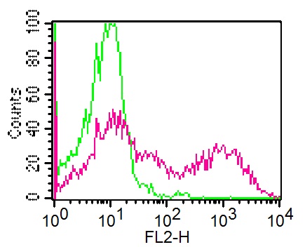 Monoclonal Antibody to CD24 (Clone: ML5)