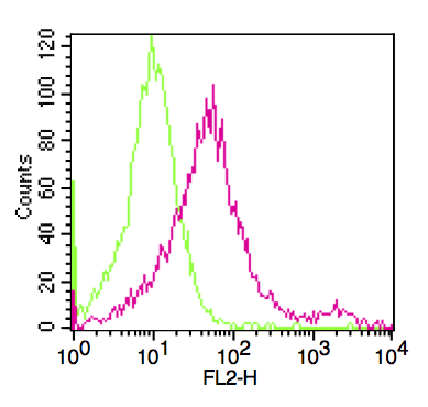 Monoclonal Antibody to CD24 (Clone: 32D12)