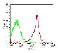 Monoclonal antibody to CD46 (Clone: TRA-2-10)