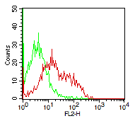 Monoclonal antibody to CD244/p38 (Clone: C1.7)