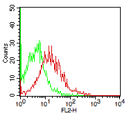 Monoclonal antibody to CD16 (Clone: B73.1) No Azide, Low Endotoxin