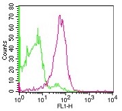 Monoclonal Antibody to Mouse CD155 (Clone: 4.24)-NALE