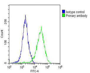 Mouse Monoclonal Antibody to ALDH1A1 (Clone: 152CT1.2.2)(Discontinued)