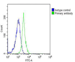 Mouse Monoclonal Antibody to CASP8  (C-term)(Clone: 550CT8.5.2)(Discontinued)