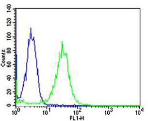 Mouse Monoclonal Antibody to MAFK (Clone: 1328CT786.105.125)(Discontinued)