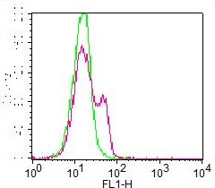 Monoclonal Antibody to MBD1 (Clone: ABM15H2) FITC Conjugated