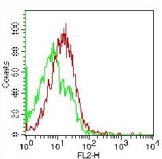 Monoclonal Antibody to CD56 (Clone: 123C3)