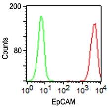 Monoclonal Antibody to EpCAM (Clone: VU-1D9)