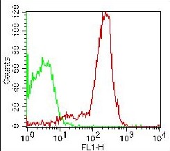 Monoclonal antibody to CD44 (Clone: 156-3C11 ) FITC Conjugated