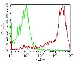 Monoclonal antibody to CD44 (Clone: 156-3C11 )