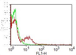 Monoclonal Antibody to CD31 (ABM3E63) FITC Conjugated