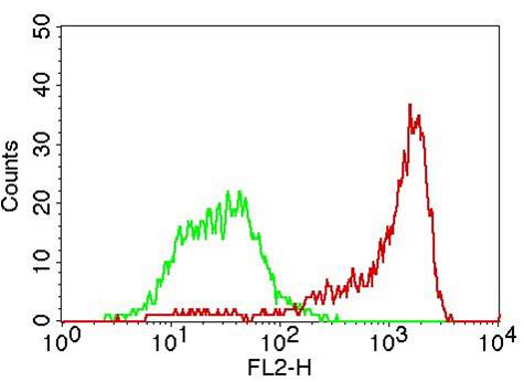 Monoclonal Antibody to CD31 (Clone: ABM3E63)