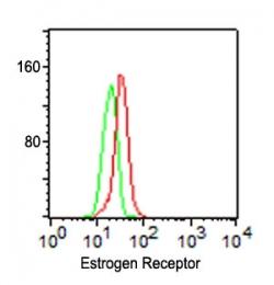 Monoclonal Antibody to Estrogen Receptor (Clone: C-71)(Discontinued)