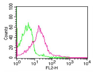 NALE™  Monoclonal Antibody to Human PD-L1 (Clone: ABM4E54) (No Azide Low Endotoxin)