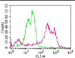 Monoclonal Antibody to CD11c (Clone: ABM4C58)