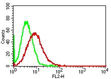 Monoclonal antibody to Topo II alpha (Clone: ABM48B4 )