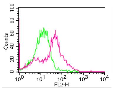 Monoclonal antibody to Human PD-L1 (Clone: ABM5F25)